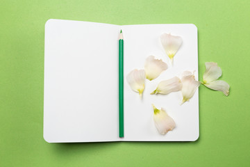 Books, petals and pencils on the table