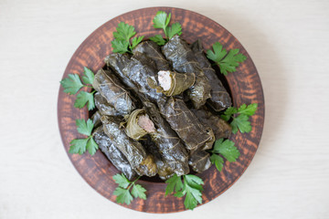 Homemade dolma - stuffed grape leaves. Rice and turkey fillings. Warm dish.