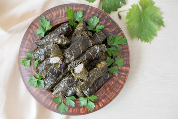 Homemade dolma - stuffed grape leaves. Rice and turkey fillings. Warm dish.