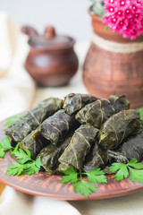 Homemade dolma - stuffed grape leaves. Rice and turkey fillings. Warm dish.