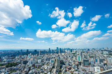 Fototapeta premium 東京風景