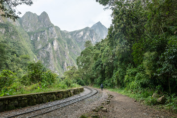 Back view of male hiker with backpack. Tourist man hiking along railroad to Machu Picchu, Peru
