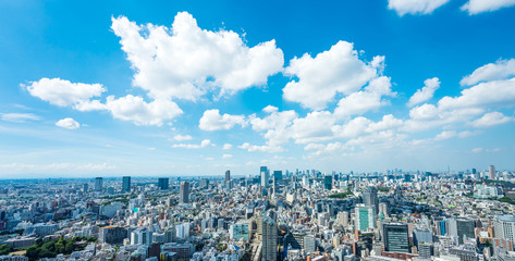 Obraz premium Krajobraz Tokio