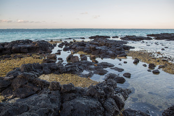 Fototapeta na wymiar sea coast on a tropical island of Mauritius