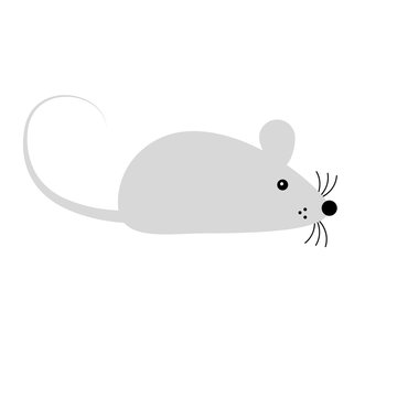 Mouse or rat vector illustration for your design. Symbol of 2020 new year. Flat illustration. Cute gray mouse