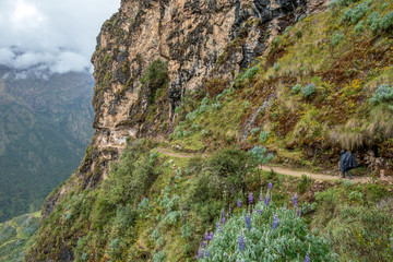 Young hiker man trekking with backpack in Peruvian Andes mountains, Peru, South America