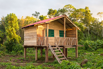 Elevated House Built on Pillars in the Amazon Rain Forest