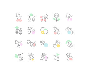 Set Vector Line Icons of Berries.