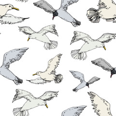 Sky bird seagull in a wildlife. Black and white engraved ink art. Seamless background pattern.
