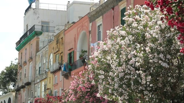 Village of Procida, Mediterranean Sea, near Naples. The characteristic houses with colored facades. Nautical school and flowering plants.