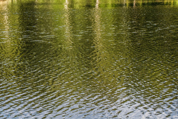 The texture of the water. Beautiful background. Lake in the forest.