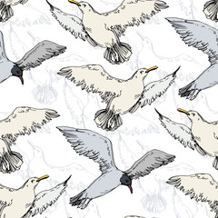 Sky bird seagull in a wildlife. Black and white engraved ink art. Seamless background pattern.