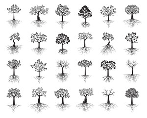 Set of Trees on white background. Vector Illustration and concept pictogram.