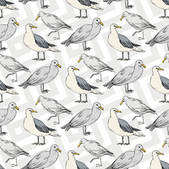 Obraz premium Sky bird seagull in a wildlife. Black and white engraved ink art. Seamless background pattern.