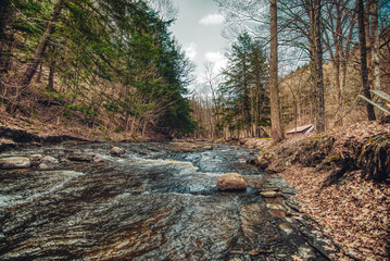 Nature Trees Stream Creek Water Summer Autumn