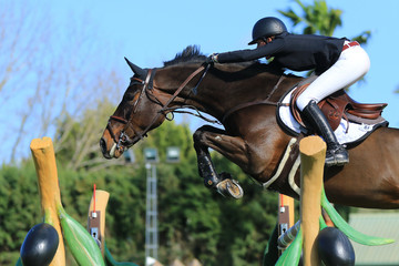 Sprung über Oxer © Petra Eckerl