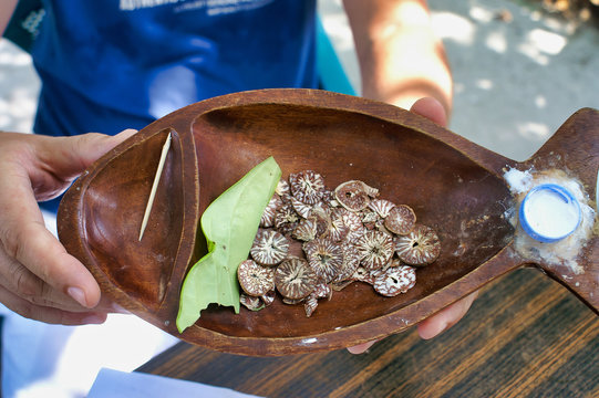 Closeup of betel nuts selling on Maafushi Island Maldives