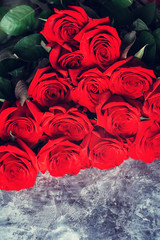 Bright red roses with green leaves lie on a dark background.