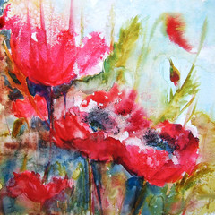 abstract background with poppy flowers