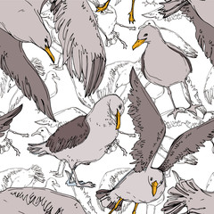 Vector Sky bird seagull in a wildlife. Black and white engraved ink art. Seamless background pattern.