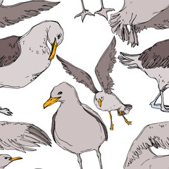 Vector Sky bird seagull in a wildlife. Black and white engraved ink art. Seamless background pattern.