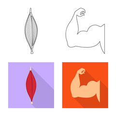 Vector illustration of fiber and muscular icon. Set of fiber and body stock symbol for web.