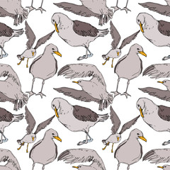 Vector Sky bird seagull in a wildlife. Black and white engraved ink art. Seamless background pattern.