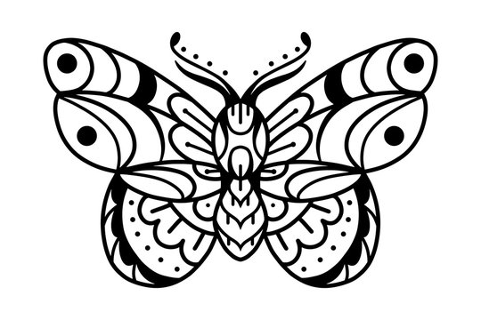 Moth hand drawing old school tattoo.
