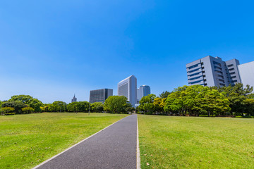 幕張海浜公園の風景