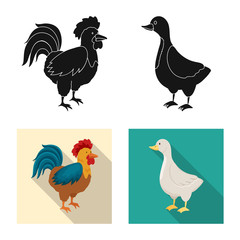 Vector illustration of breeding and kitchen icon. Collection of breeding and organic stock symbol for web.