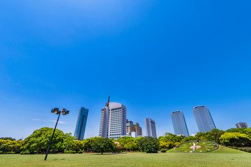 Fototapeta premium 幕張海浜公園と幕張新都心のビルディング