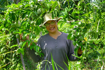 Asian Thai woman with fresh green raw passion fruit on the tree