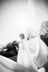 Young lovely and cheerfull bride walking at the park. The wind waves the veil. The bride in a light tulle dress and with a bouquet in her hands for a walk. Black and white