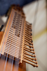 Nyckelharp Detail