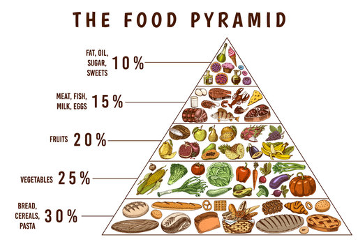 Healthy food plan pyramid. Infographics for Balanced Diet percentage. Lifestyle concept. Ingredients for meal plan. Nutrition guide. Hand drawn in vintage style.