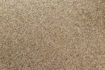 Background texture of CBD hemp seeds.
