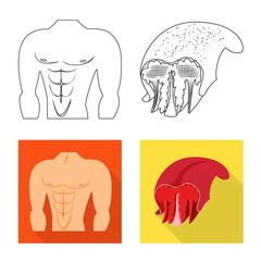 Isolated object of fiber and muscular icon. Set of fiber and body stock vector illustration.