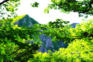 제주에 있는 한라산의 풍경이다.