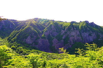 제주에 있는 한라산의 풍경이다.