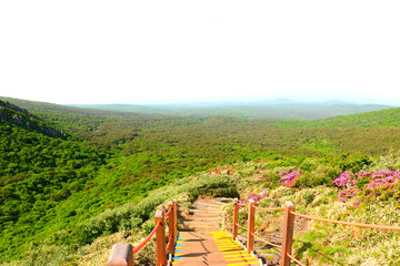 제주에 있는 한라산의 풍경이다.