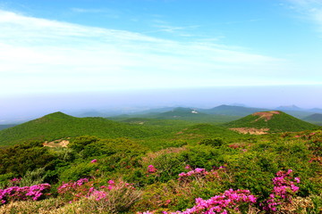 제주에 있는 한라산의 풍경이다.