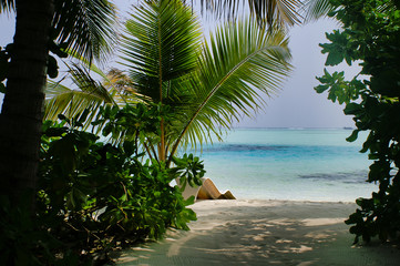 Fototapeta na wymiar Picnic Island near Maafushi Island Maldives