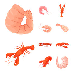 Vector illustration of shrimp and crab sign. Collection of shrimp and sea vector icon for stock.