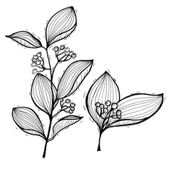 set of vector flowers