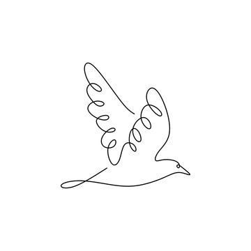 recommend clip art: continuous line drawing of pigeon bird flying minimalism