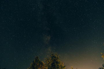 Fototapeta na wymiar Background of the night starry sky with treetops.