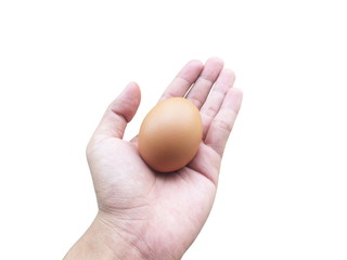 Hand holding egg isolated on white background.