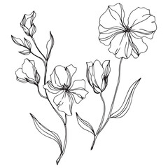 Vector Flax floral botanical flowers. Black and white engraved ink art. Isolated flax illustration element. © LIGHTFIELD STUDIOS