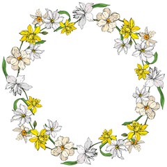 Vector Narcissus floral botanical flowers. Black and white engraved ink art. Frame border ornament square.