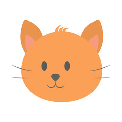 Cat head. Cute and funny animal. Kitten smile, adorable pet